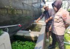 Budidaya-Lele-di-Desa-Ketajen-Jadi-Andalan-Polsek-Gedangan-dalam-Program-Ketahanan-Pangan