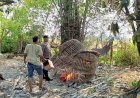 Polsek-Sukodono-Tindak-Lanjuti-Dumas-Sabung-Ayam-di-Desa-Bangsri