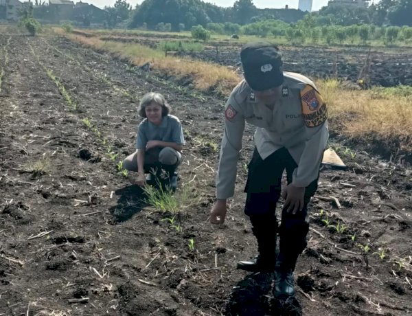 Polisi Cinta Petani, Polsek Taman Cek Jagung