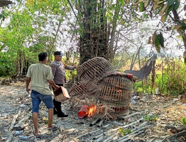Polsek Sukodono Tindak Lanjuti Dumas Sabung Ayam di Desa Bangsri